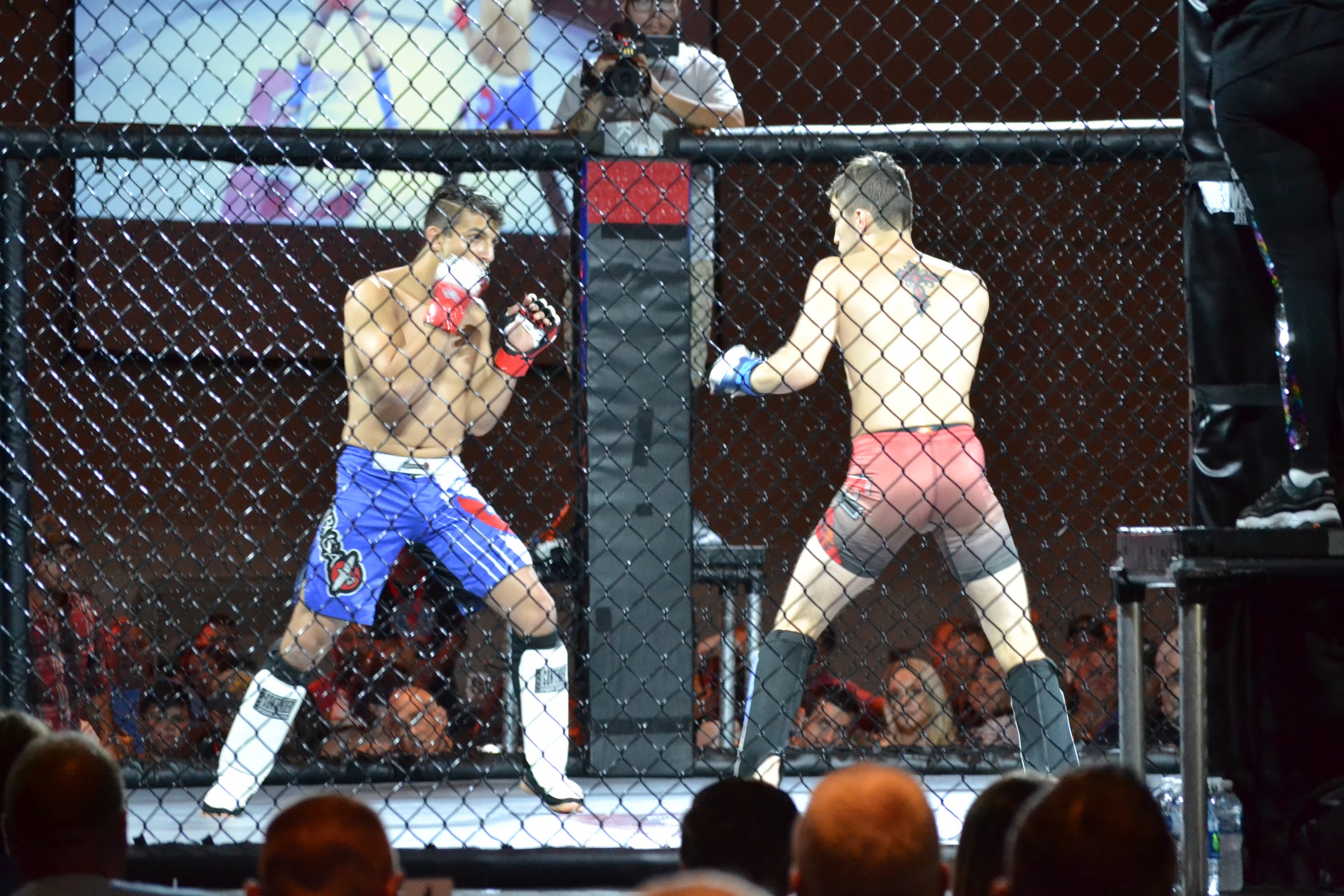 MMA Wednesday